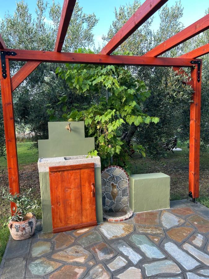 Green Olive Studios 2 Ayios Mamas Exteriör bild